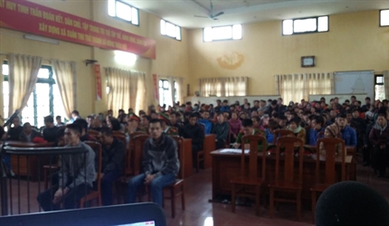 50.000đ và 3 năm tù cho tội Mua bán trái phép chất ma túy